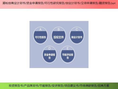 滄州市項(xiàng)目招投標(biāo)書產(chǎn)業(yè)規(guī)劃ppt資金申請(qǐng)報(bào)告ppt投資亮點(diǎn)