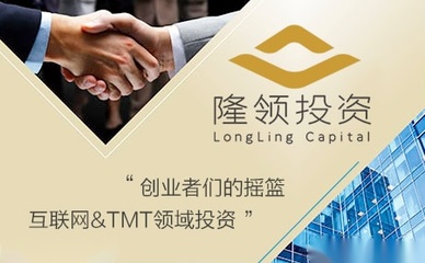 隆領投資網游運營商,品牌vi策劃